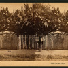 Cactus Fence.