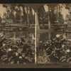East Lake Park - Los Angeles, Cal.