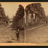 Avenue of Palms, Los Angeles, California, U.S.A.