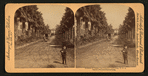Avenue of Palms, Los Angeles, California, U.S.A.