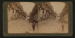 Avenue of Palms, Los Angeles, California.