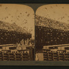 Sixteen Thousand Pigeons and their model apartment houses, on a great pigeon farm, Los Angeles Cal.