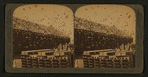 Sixteen Thousand Pigeons and their model apartment houses, on a great pigeon farm, Los Angeles Cal.