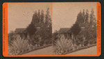 View in grounds of G.B. Adams. Alhambra, Cal.