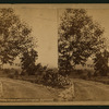 Valley Scene near Los Angeles, California.