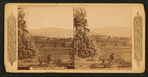 San Gabriel Valley, California.
