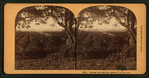 Orange Groves, San Gabriel Valley, Cal.
