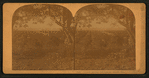 Orange Groves, San Gabriel Valley, Cal.