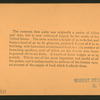 The Date Palm, Pasadena, Cal., U.S.A.