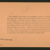 The Date Palm, Pasadena, Cal., U.S.A.