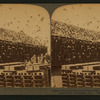 Sixteen thousand pigeons and their model apartment houses, on a great pigeon farm, Los Angeles, Cal.