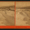 Sea Bathing, Santa Monica.
