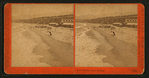 Sea Bathing, Santa Monica.