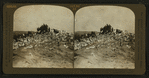 A Vast cloud of pigeons returning from feeding ground. Pigeon Farm, Los Angeles, Cal., U.S.A.