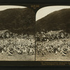 Feeding ground for twenty-five thousand pigeons; pigeon farm, Los Angeles, Cal., U.S.A.