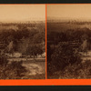 Orange Grove.