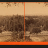 Orange Grove.