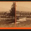 Panoramic view of a cultivation.