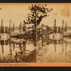 Mirror view, Lake Angeline, Cal. [no. 468].