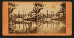 Mirror view, Lake Angeline, Cal. [no. 468].