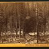 Miner's Cabin, American River. [no. 617].