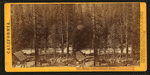 Miner's Cabin, American River. [no. 617].
