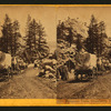 Emigrant Train, Strawberry Valley, going east. [no. 625].