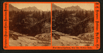 Summit of the western ridge of the Sierras, on the Big Tree and Carson Valley Road looking north.
