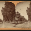 Palm Drive, San Bernardio, Cal., U.S.A.