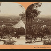 San Bernardio Valley, Cal., U.S.A.