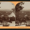 San Bernardio Valley, Cal., U.S.A.