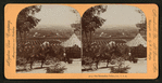 San Bernardio Valley, Cal., U.S.A.