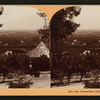 San Bernardio Valley, Cal., U.S.A.