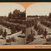 Orange Grove, Riverside, Cal, U.S.A.
