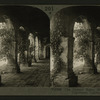 Clositer Ruins, Mission of San Juan Capistrano, Capistrano, California.
