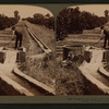 Irrigating an orange grove, Riverside, California.