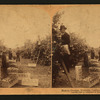 Picking oranges, Riverside, California, U.S.A.