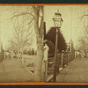 Street in front of the Officer's Residences, Mare Island.