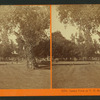 Lawn view at T.H. Selby's Residence, Fair Oaks, Cal.