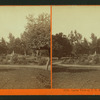 Lawn view at T.H. Selby's Residence, Fair Oaks, Cal.
