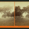 Lawn view at T.H. Selby's Residence, Fair Oaks, Cal.