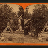 Picking oranges.