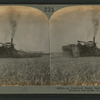 A combined steam harvester which heaps, thrashes and sacks, Calif., U.S.A.