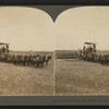 Combined reaper and thrasher, San Joaquin Valley, Cal., U.S.A.