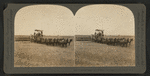 Combined reaper and thrasher, San Joaquin Valley, Cal., U.S.A.