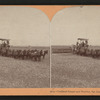 Combined reaper and thrasher, San Joaquin Valley, Cal., U.S.A.