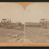 Combined reaper and thrasher, San Joaquin Valley, Cal., U.S.A.