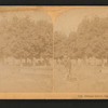 Orange grove, Cal.