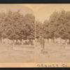 Orange Grove, Cal.