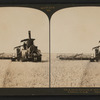 A steam harvester at work cutting a 25 foot swath, California, U.S.A.